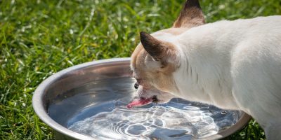 Do you know how to recognise the signs of dehydration?