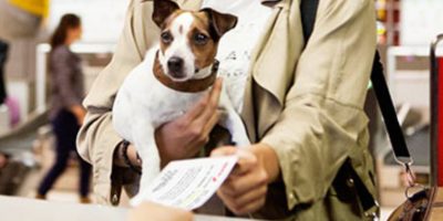 Flying with pets within mainland Europe