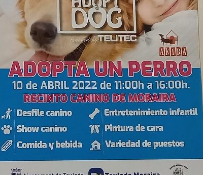 Adopt a dog day 2022, April 10th, Moraira