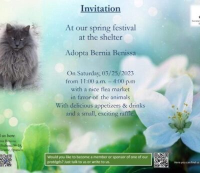 Spring celebration and flea market, 25/3 Benissa.