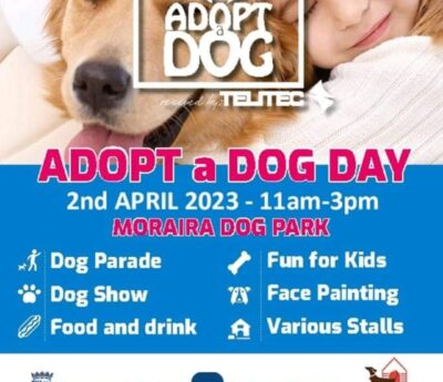 Adopt a dog day 2023, Moraira 2 April.